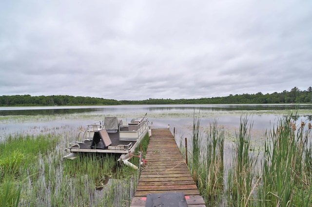 344 County 118 NW, Backus, MN 56435 - photo 54