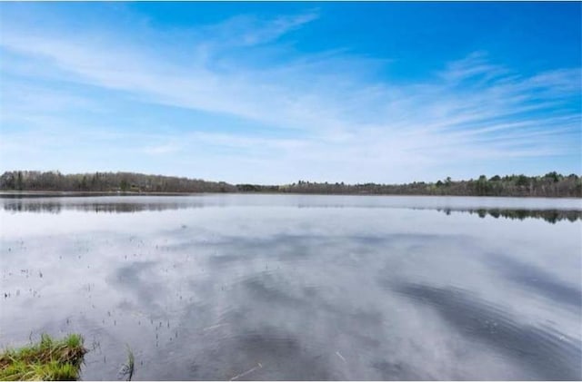 344 County 118 NW, Backus, MN 56435 - photo 58
