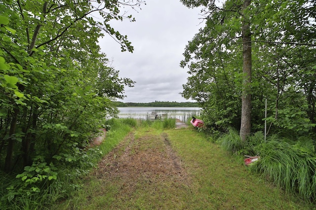 344 County 118 NW, Backus, MN 56435 - photo 53