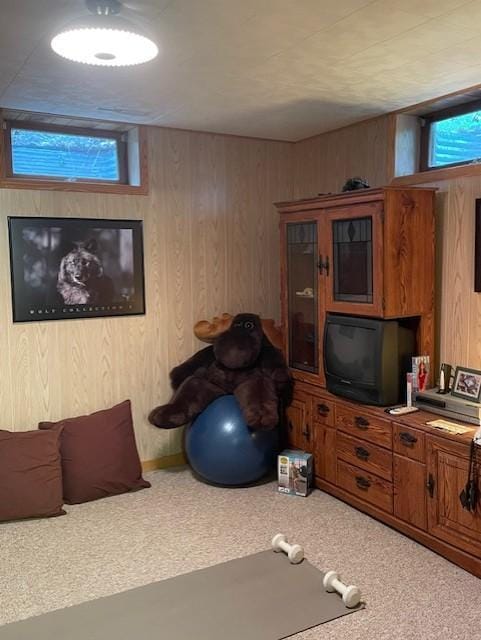 344 County 118 NW, Backus, MN 56435 - photo 59