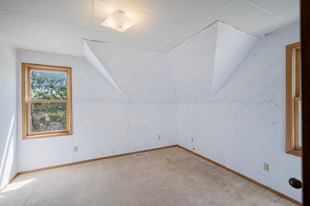 431 19 1/2 Ave N, Saint Cloud, MN 56303 - bonus room featuring light colored carpet and vaulted ceiling