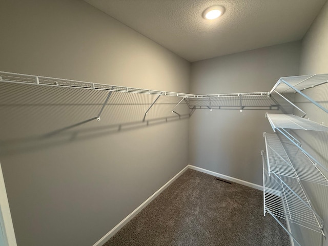 2811 Ivory Ave NE, Saint Michael, MN 55330 - spacious closet with carpet flooring