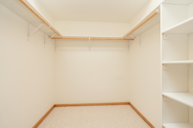 508 Woodside Ct, Shakopee, MN 55379 - walk in closet with light colored carpet
