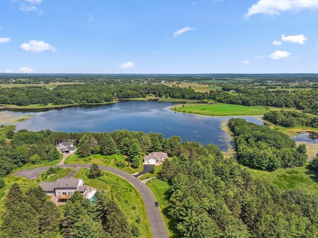 13725 Maxwell Rd, Chisago Lake Twp, MN 55013 - bird's eye view of a large body of water and a forest