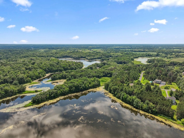 13725 Maxwell Rd, Chisago Lake Twp, MN 55013 - bird's eye view of a forest and a nearby body of water