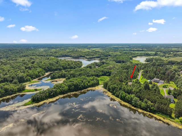 13725 Maxwell Rd, Chisago Lake Twp, MN 55013 - drone / aerial view of a forest and a large body of water