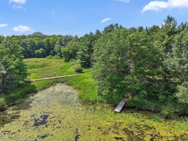 13725 Maxwell Rd, Chisago Lake Twp, MN 55013 - view of tree filled area