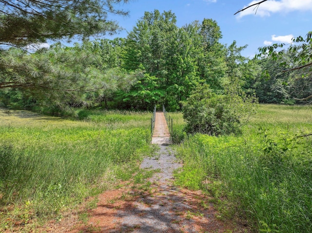 13725 Maxwell Rd, Chisago Lake Twp, MN 55013 - view of yard featuring a view of trees