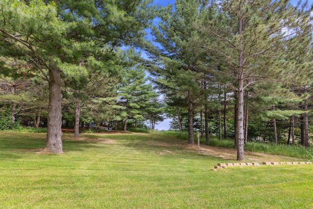 13725 Maxwell Rd, Chisago Lake Twp, MN 55013 - view of grassy yard