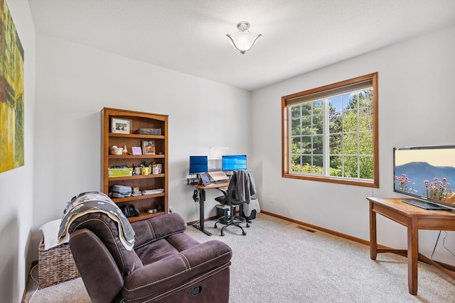 13725 Maxwell Rd, Chisago Lake Twp, MN 55013 - home office featuring carpet flooring and baseboards