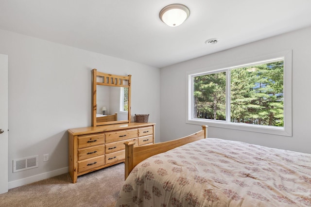 13725 Maxwell Rd, Chisago Lake Twp, MN 55013 - bedroom with light carpet and baseboards