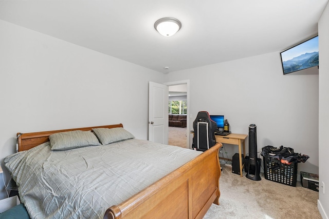 13725 Maxwell Rd, Chisago Lake Twp, MN 55013 - bedroom with light carpet