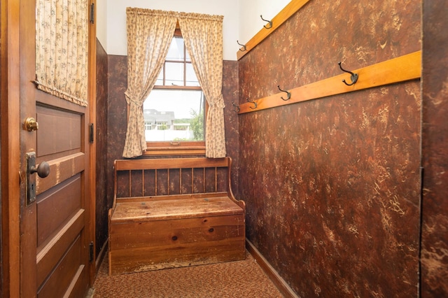 210 1st Ave SW, Glenwood, MN 56334 - detailed view of carpet flooring