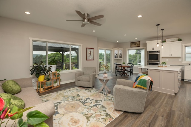 1427 Amco Dr SE, Chatfield, MN 55923 - living area with wood finished floors, ceiling fan, plenty of natural light, and recessed lighting
