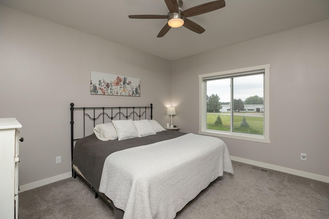 1427 Amco Dr SE, Chatfield, MN 55923 - bedroom featuring carpet flooring and ceiling fan
