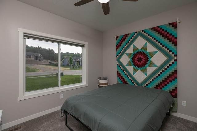 1427 Amco Dr SE, Chatfield, MN 55923 - bedroom featuring carpet flooring and ceiling fan