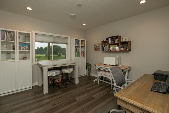 1427 Amco Dr SE, Chatfield, MN 55923 - home office featuring dark wood finished floors and recessed lighting