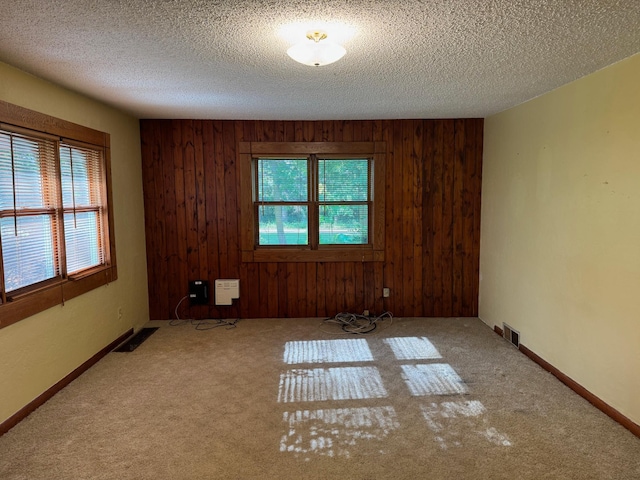 20247 410th Ave, Mickinock Twp, MN 56751 - spare room with plenty of natural light, wood walls, and carpet floors