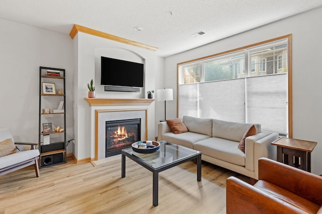 8479 Forestview Ln N, Maple Grove, MN 55369 - living room with light wood-type flooring, a textured ceiling, and a glass covered fireplace