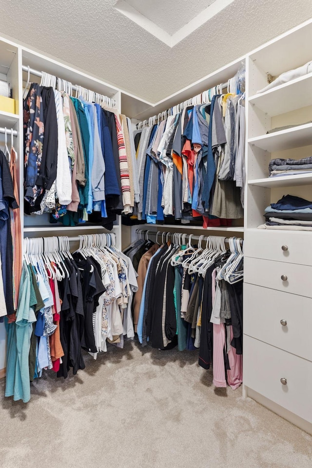 8479 Forestview Ln N, Maple Grove, MN 55369 - walk in closet featuring carpet floors