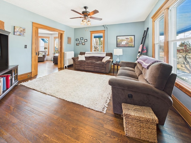 905 3rd Ave SW, Pine City, MN 55063 - living room with radiator, healthy amount of natural light, ceiling fan, and wood finished floors