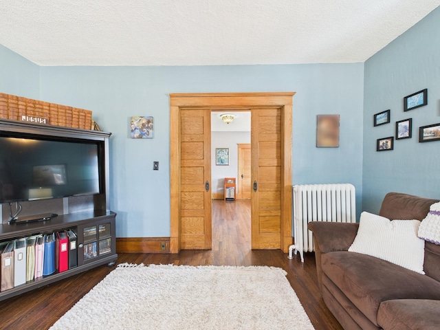 905 3rd Ave SW, Pine City, MN 55063 - living room with radiator heating unit, dark wood-type flooring, and a textured ceiling