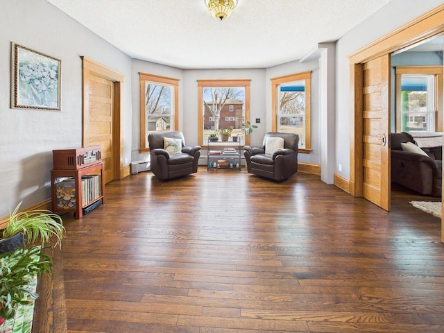 905 3rd Ave SW, Pine City, MN 55063 - sitting room with dark wood-style flooring, baseboard heating, and a textured ceiling