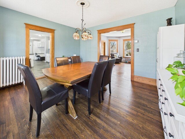 905 3rd Ave SW, Pine City, MN 55063 - dining room featuring radiator and dark wood-style floors