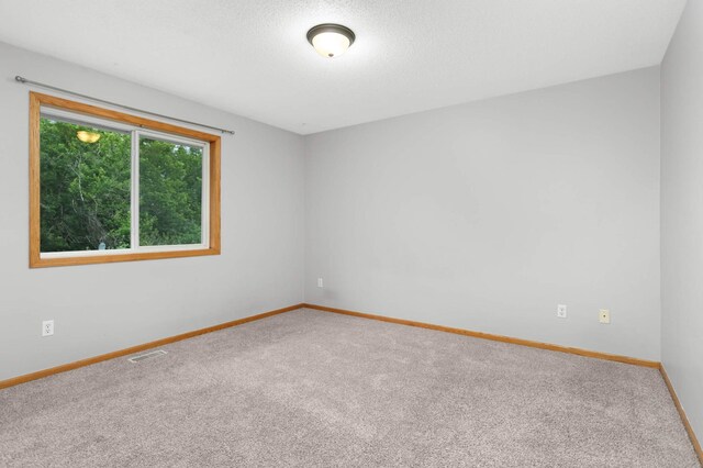 1110 Lilac Ct, Waconia, MN 55387 - unfurnished room with carpet and baseboards