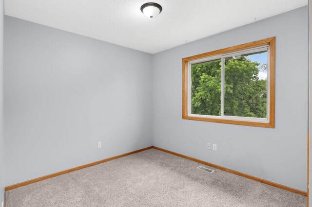 1110 Lilac Ct, Waconia, MN 55387 - empty room featuring carpet floors and baseboards