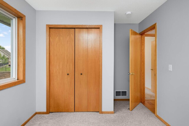 1110 Lilac Ct, Waconia, MN 55387 - unfurnished bedroom with light colored carpet, a closet, and multiple windows
