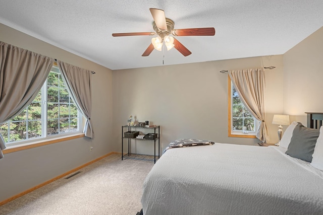 8772 Benson Way Unit 81, Inver Grove Heights, MN 55076 - carpeted bedroom with multiple windows, ceiling fan, and a textured ceiling