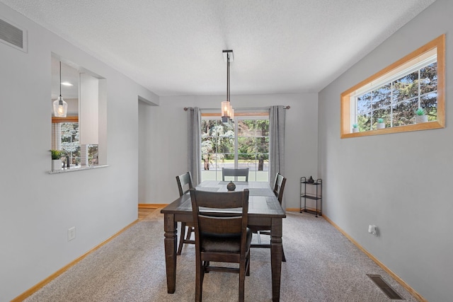 8772 Benson Way Unit 81, Inver Grove Heights, MN 55076 - dining room with healthy amount of natural light, carpet floors, and a textured ceiling