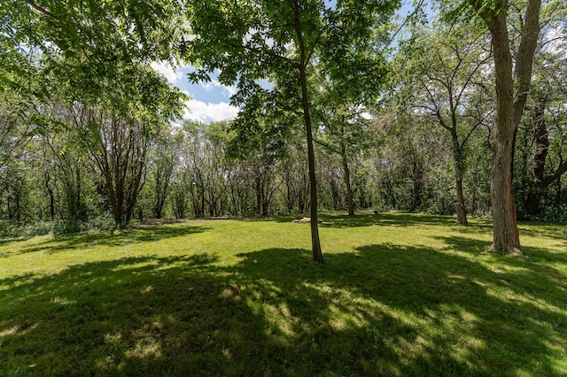 816 Bristol Ln NE, Rochester, MN 55906 - view of green lawn