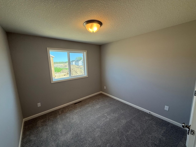2883 Ivory Ave NE, Saint Michael, MN 55376 - spare room featuring dark colored carpet and a textured ceiling