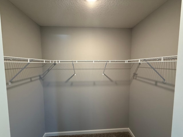 2883 Ivory Ave NE, Saint Michael, MN 55376 - walk in closet featuring carpet