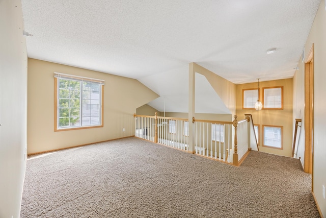 14000 Erwin Ct, Eden Prairie, MN 55344 - additional living space featuring carpet and a textured ceiling