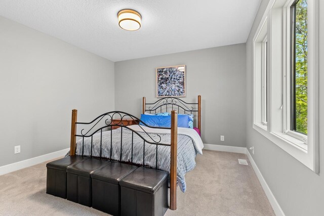 754 Shawnee Woods Rd, Medina, MN 55340 - photo 55