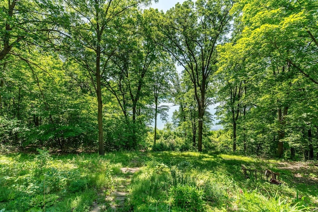 32990 Heilberger Dr, Erhard, MN 56534 - photo 2