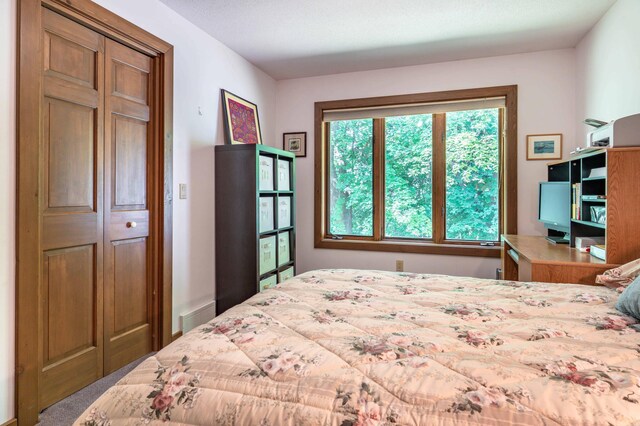 32990 Heilberger Dr, Erhard, MN 56534 - photo 41