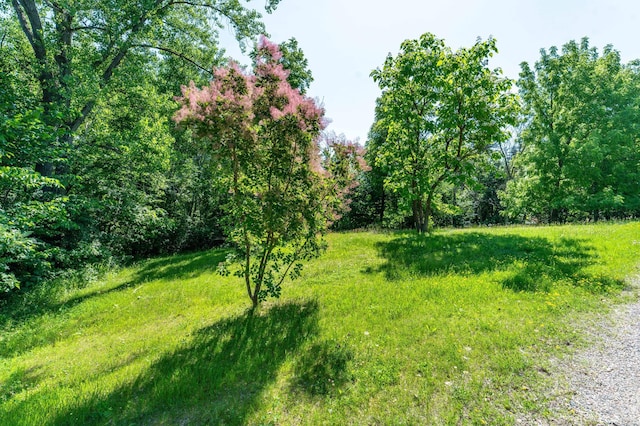 32990 Heilberger Dr, Erhard, MN 56534 - photo 55