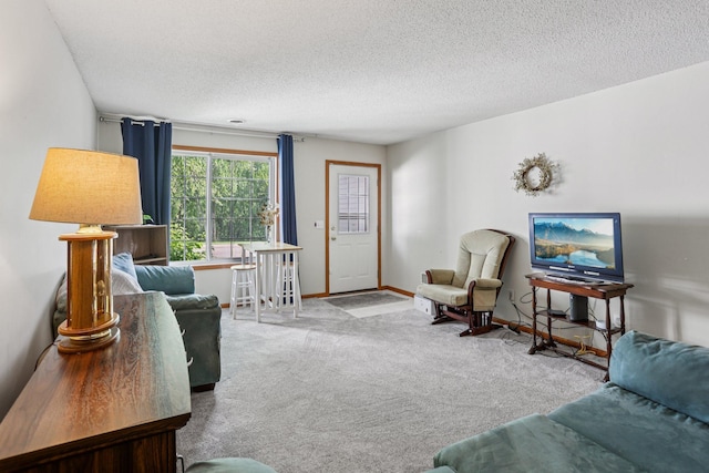 2001 Gresham Ave N, Oakdale, MN 55128 - living room featuring carpet and a textured ceiling