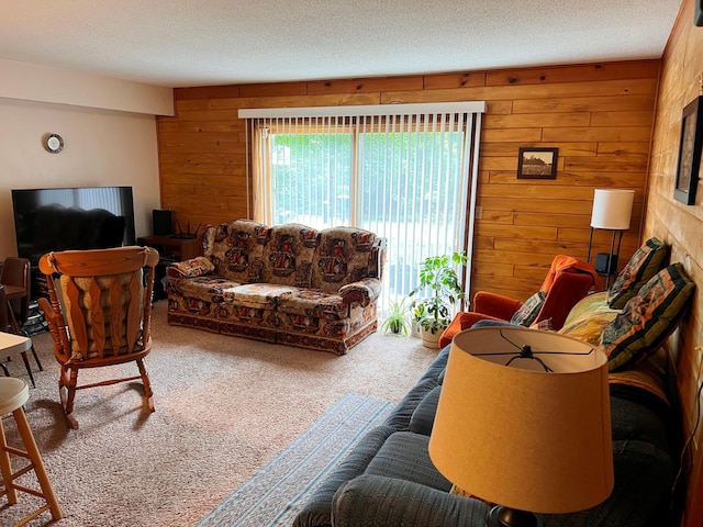 5019/5021 Ojibwa Rd, Brainerd, MN 56401 - carpeted living area featuring wood walls and a textured ceiling
