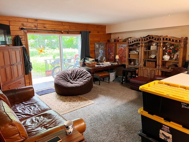 5019/5021 Ojibwa Rd, Brainerd, MN 56401 - office space featuring wood walls and carpet flooring