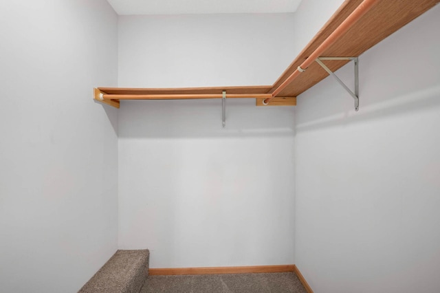 1830 Donegal Dr Unit 11, Woodbury, MN 55125 - walk in closet with carpet floors