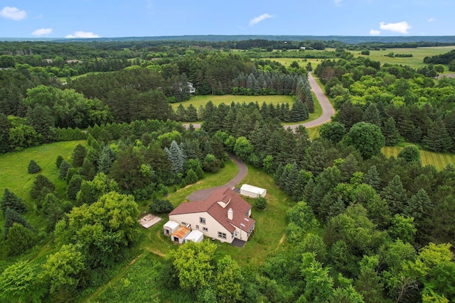 20170 Oxboro Ln N, Scandia, MN 55047 - drone / aerial view of a forest