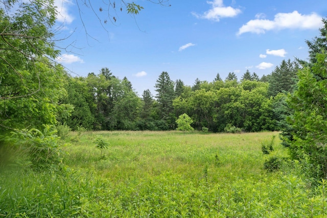 20170 Oxboro Ln N, Scandia, MN 55047 - view of wooded area