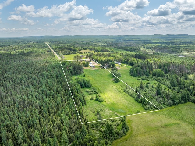 3507 Salo Rd, Waasa Twp, MN 55732 - view of property location with property boundaries highlighted