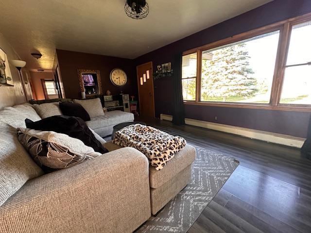 3507 Salo Rd, Waasa Twp, MN 55732 - living room with wood finished floors and baseboard heating