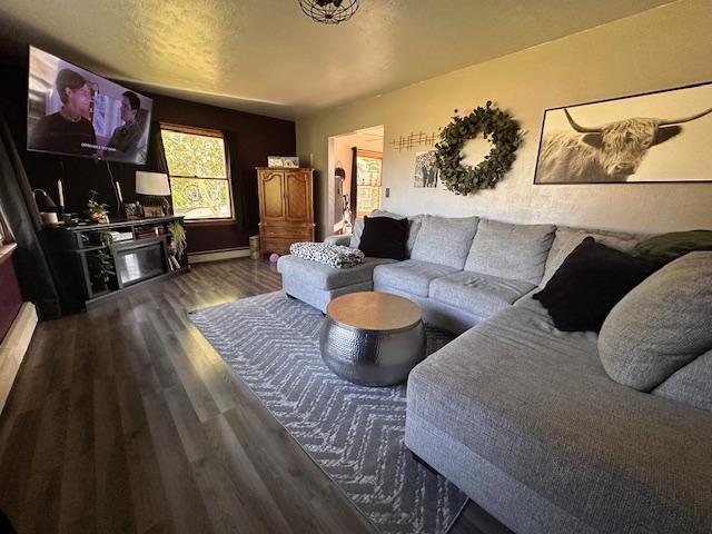3507 Salo Rd, Waasa Twp, MN 55732 - living area featuring wood finished floors and a baseboard radiator